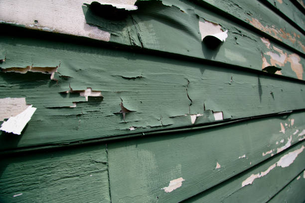 Best Steel Siding Installation  in Coeburn, VA