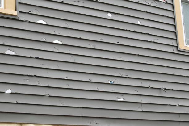 Storm Damage Siding Repair in Coeburn, VA